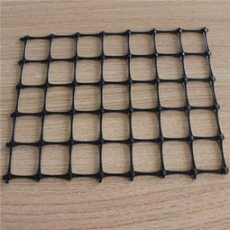 新聞 湛江土工格柵價格 拓聯(lián)集團